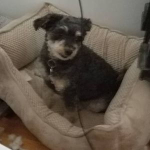 Meet your Posher, Sheree